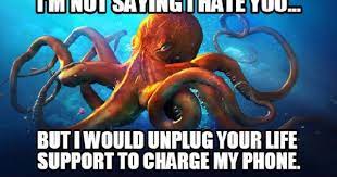 Of all the ways i saw my afternoon ending, crying over a friendship between an octopus and a filmmaker was not it. Images Of Octopus Memes Octopus Animal Memes Funny Animal Memes