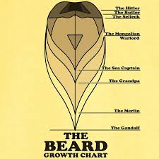 Beard Chart Hair Growth Charts Hair Beard Styles New