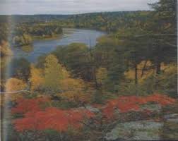 Descrierea cip a bibliotecii naţionale a româniei munteanu, constantin. Auxiliar Curricular Liceu Tehnologic Domeniul Protectia Mediului Calificarea Tehnician Ecolog Si Protectia Calitatii Mediului