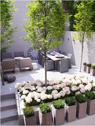 Simply Green Terrace Garden Patio Garden Outdoor Gardens