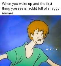And You Use Shaggy To Get Internet Points Dankmemes