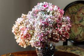 Pin On My Flower Shop