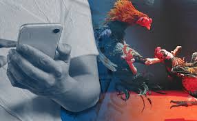 It destroyed families': The evil of e-sabong