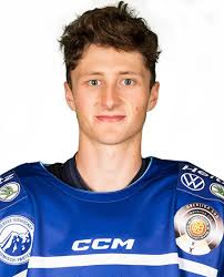 EISHOCKEY.INFO News zum Thema DEL