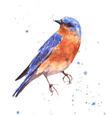 Maybe you would like to learn more about one of these? Blue Bird Paintings