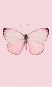 Effdeesea Butterfly Wallpaper Iphone Iphone Wallpaper In 2021 Butterfly Wallpaper Butterfly Wallpaper Iphone Pink Wallpaper Backgrounds