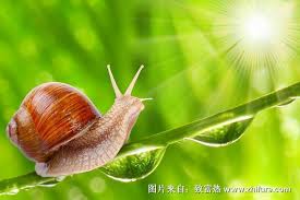 Check spelling or type a new query. èœ—ç‰›æœ‰å¤šå°'é¢—ç‰™é½¿ è‡´å¯Œçƒ­