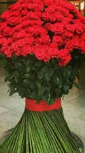 Mit unserem rosenversand von zu hause aus 20, 25, 30, 40, 50. Pin By Franziska Schneider On Blumen Beautiful Flowers Photos Beautiful Flower Arrangements Beautiful Rose Flowers