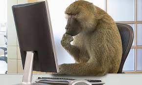 Monkey Types 12 Words Per Minute With Brain Computer Interface Cute Baby Monkey Monkey Types Monkey