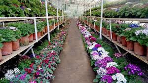 Company Garden Mussoorie Timings Entry Fee Boating Wax Museum