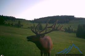 16.7 acres in Townsend, MT, 59644