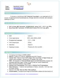 Bsc Resume Resume Template Job