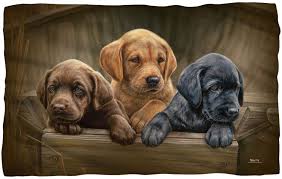 Lab Puppies Microfiber Fleece Blanket 36 Quot X 58 Quot Lab Puppies Labrador Art Labrador Puppy