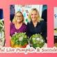 Make a Live Pumpkin & Succulent Centerpiece @ The event image