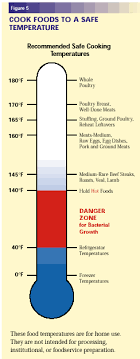 Danger Zone Food Temperature Chart Uk Bedowntowndaytona Com