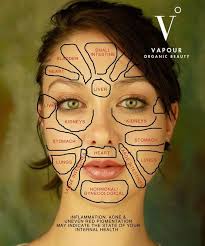 chinese face map how organs link to your face health