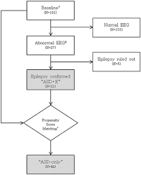 flow chart describing the selection process of asd e and