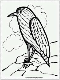 Online free printable bison coloring pages for kids preschool. Realistic Bird Coloring Pages Free