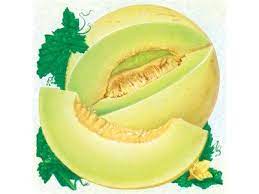 Honeydew Tam Dew Melon Honeydew Melon Salad Honeydew Heirloom Seeds