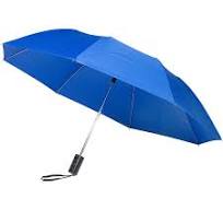 Reflex Blue Auto Open Folding Umbrella