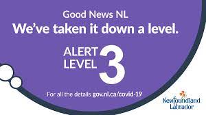 The prime minister issued a reminder following tonight's lockdown announcement. Government Of Nl On Twitter Effective Today Newfoundland And Labrador Is At Covid19 Alert Level 3 For Details On What Alert Level 3 Means For You Find All The Details Here