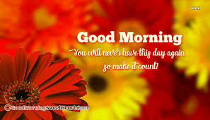 Good morning flowers hd wallpaper. Good Morning Flowers Hd Images Goodmorningsweetheart Com