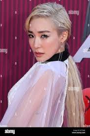 Stephanie Young's Instagram, Twitter & Facebook