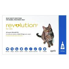 A monthly intestinal parasite preventive is recommended for all cats and is available in both topical and pill form. Cat Heartworm Prevention Tips Petstock Blog