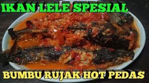 Jun 30, 2021 · resep lele balado. Resep Ikan Lele Bumbu Rujak Cara Membuat Ikan Lele Bumbu Rujak Cara Masak Ikan Lele Cara Memasak Youtube