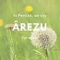 Image result for ‫نت فارسى‬‎