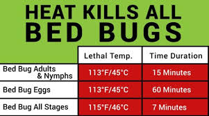 16 Bed Bug Heat Thermometer Bed Bug Temperature Chart