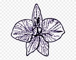 Larkspur flower tattoos larkspur flower. Larkspur Flower Tattoo Hd Png Download 600x586 4298 Pngfind
