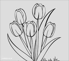 Maybe you would like to learn more about one of these? Gambar Sketsa Bunga Berwarna Gambar Sketsa Serta Terbaru Yang Kita Posting Ini Adalah Koleksi Gambar Sketsa Tulip Painting Tulip Drawing Flower Art Painting