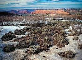 美國 us 猶他州 utah 城堡谷 castle valley 地面的積雪逐漸融化 遠處是 紅砂岩 red sandstone 構成的岩壁 城堡谷總長約12公里 寬4 8公里 岩壁最高點距地面超過500米 攝影師 larry natural landmarks favorite places utah