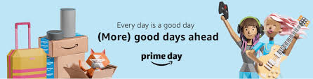 Best of amazon prime day sale. Preparing For Amazon Prime Day What You Need To Know In 2021