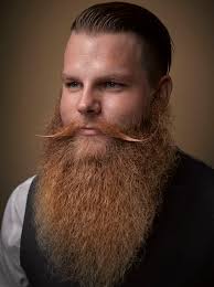 40 Of The Most Epic Entries From The 2016 National Beard And Moustache  Competition