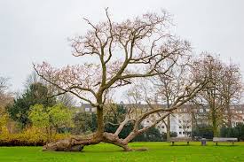 Zoos & aquarien in magdeburg beliebte kategorien für magdeburg. Dusseldorf Und Sein Zoo Eine Zeitreise Zu Dusseldorfer Stadtaffen