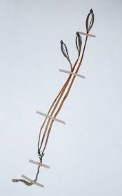 Image result for Gastrodia ballii