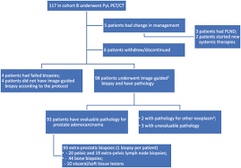 As most lesion are now small and sometime … A Phase 2 3 Prospective Multicenter Study Of The Diagnostic Accuracy Of Prostate Specific Membrane Antigen Pet Ct With 18f Dcfpyl In Prostate Cancer Patients Osprey Journal Of Urology