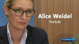»frau merkel, ihre politik ist ungehörig und übergriffig!« Wer Ist Alice Weidel Youtube