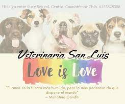 Veterinaria San Luis Home Facebook