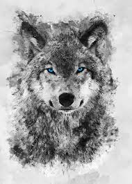 Black And Grey Wolf With Blue Eyes Grey Wolf Blue Eyes Metal Poster Print Syanart Displate In 2020 Wolf With Blue Eyes Wolf Tattoos Men Wolf Artwork