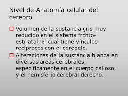 Síntomas individuos con el síndrome de asperger pueden ser identificados por los siguientes síntomas; Aspectos Neurobiologicos Del Sindrome De Asperger Monografias Com