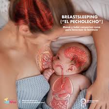 En la formación como personal de salud no nos enseñaron las condiciones más  adecuadas y seguras para establecer la #lactanciamaterna. “Breastsleeping”  (o como me gusta decirle, “el pecholecho”) es un término acuñado