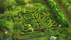 Hawaii's hakalau's world botanical gardens and waterfalls is a great park to hang our with your friends and enjoy the great outdoors. Overview Of Kauai S Top Botanical Gardens