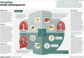 Cough that remains unrelieved and gets worse over time hemoptysis (coughing up blood) or reddish spit Small Cell Lung Cancer Nature Reviews Disease Primers
