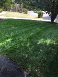 With this plan, specialists use natural fertilizer. Is Trugreen A Good Company To Use They Left A Card On My Door Lawncare