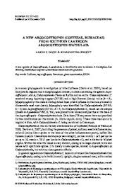 Image result for Argocoffeopsis