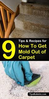 If there are some mold stains left, you can put pure vinegar in a spray bottle and apply it to the stain. 9 Amazing Ways To Get Mold Out Of Carpet