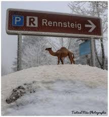 Durch den saharastaub könnte auch ein seltenes wetterphänomen auftreten: Extremwetter Eiswinter Trifft Auf Saharaluft Blutschnee In Sudthuringen Thuringen Insudthuringen